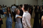 IMG 4503